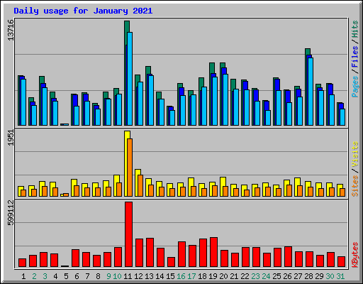 Daily usage for January 2021