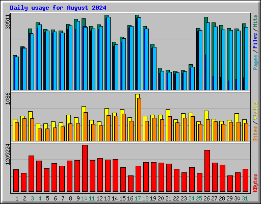 Daily usage for August 2024