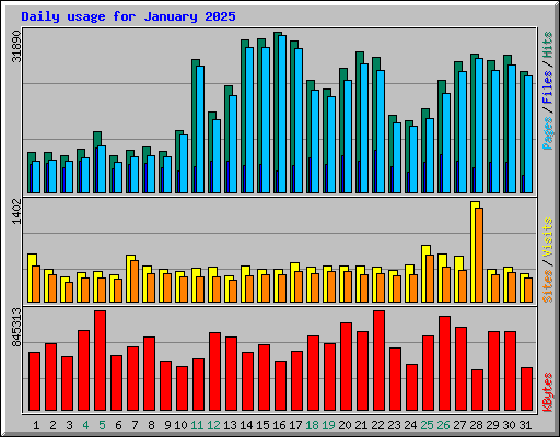 Daily usage for January 2025