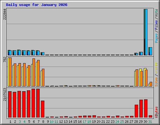 Daily usage for January 2026