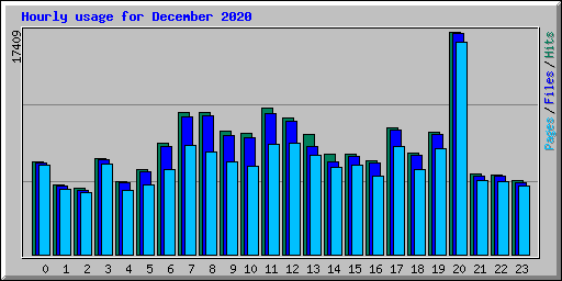 Hourly usage for December 2020