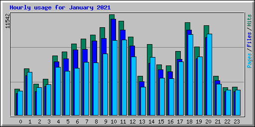 Hourly usage for January 2021