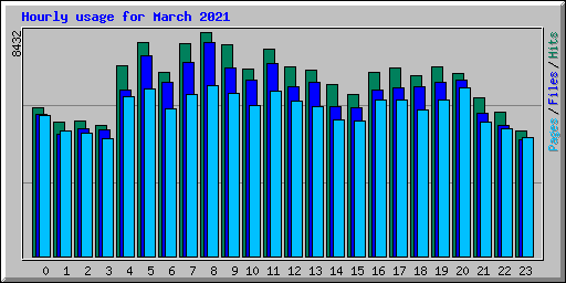 Hourly usage for March 2021