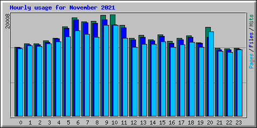 Hourly usage for November 2021