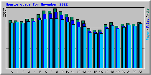 Hourly usage for November 2022