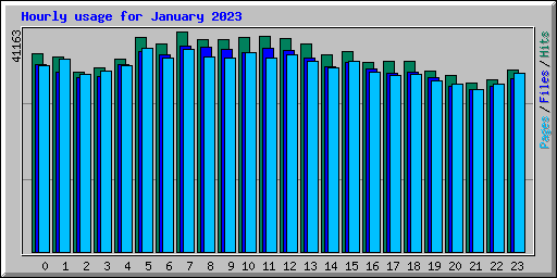 Hourly usage for January 2023