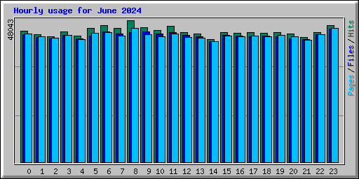 Hourly usage for June 2024