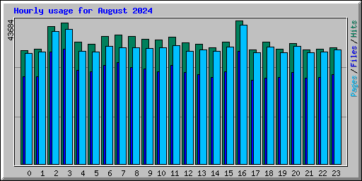 Hourly usage for August 2024