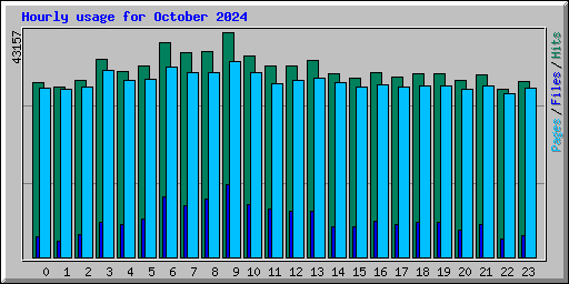 Hourly usage for October 2024
