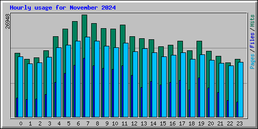 Hourly usage for November 2024