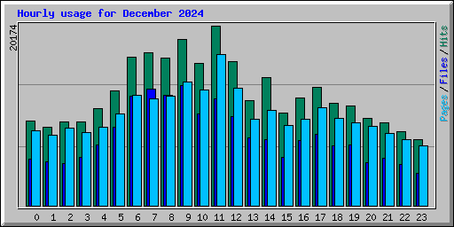 Hourly usage for December 2024