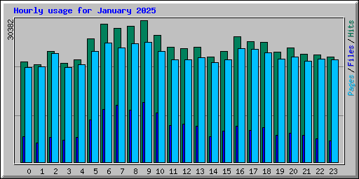 Hourly usage for January 2025