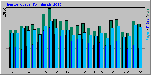 Hourly usage for March 2025