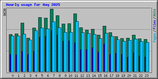 Hourly usage for May 2025