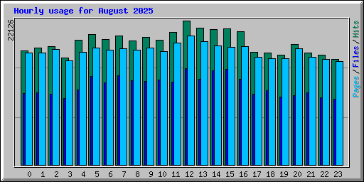 Hourly usage for August 2025